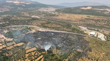 Yatağan'da Tarım Arazisi Yangını Kontrol Altında