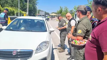 Muğla'da Orman Yangınlarına Karşı Uyarı