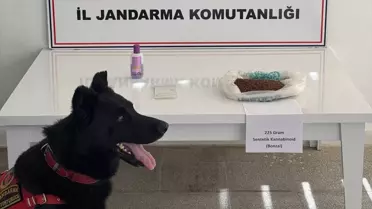 Muş'ta Uyuşturucu Operasyonu: 2 Gözaltı