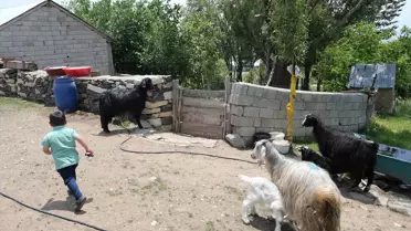30 Yıl Sonra Evlat Hasreti Bitti