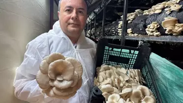 Mutfak Masraflarını Mantarla Karşılıyor