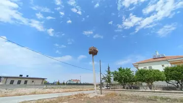 Leylekler İçin Direk Değiştirildi