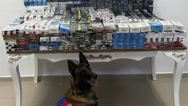 Niğde'de Tırda 3 Bin 606 Paket Kaçak Sigara Ele Geçirildi