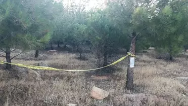 Orman Alanlarına Giriş Yasaklandı