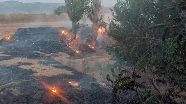 Ödemiş'te Otluk Alanda Yangın