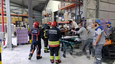 Fatsa'da İşçi Kolunu Makineye Sıkıştırdı