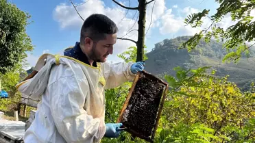 TKDK Desteğiyle Bal Üretimi Artıyor