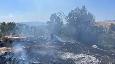 Osmancık'ta Yangın: 100 Dönüm Anız Zarar Gördü