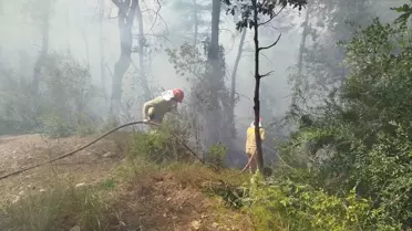 Kadirli'de Orman Yangınına Müdahale