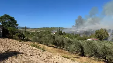 Sumbas'ta Yangın Kontrol Altında