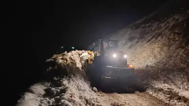 Çamlıhemşin'de Çığ Felaketi: 15 Kişi ve 8 Hayvan Kurtarıldı
