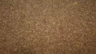 Birgün Sinekleri'nden Ölüm Uçuşu