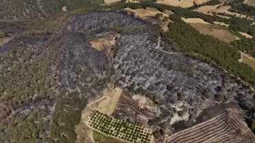 Taraklı'da Orman Yangını Kontrol Altına Alınmaya Çalışılıyor