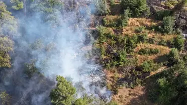 Sakarya-Bilecik Yangını Kontrol Altında
