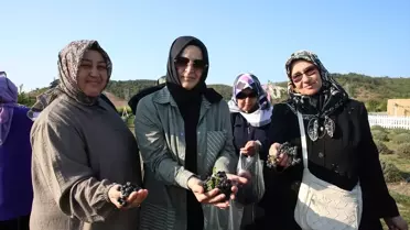 Kanser Hastalarına Moral: Lavanta Bahçesinde Buluşma