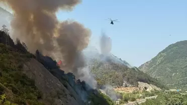 Geyve'de Orman Yangını: Hava ve Karadan Mücadele