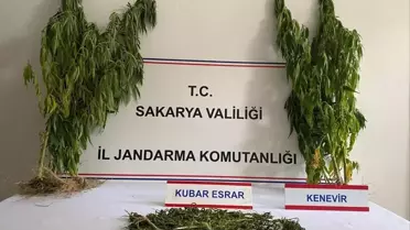 Sapanca ve Pamukova'da Uyuşturucu Operasyonu