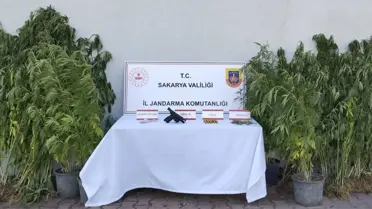 Geyve'de Uyuşturucu Operasyonu: 1 Tutuklama