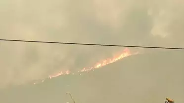 Geyve'deki Orman Yangını Kontrol Altına Alındı