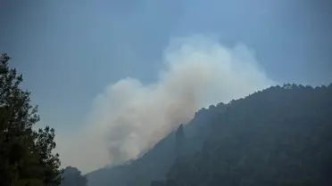 Geyve'deki Orman Yangını Kontrol Altında