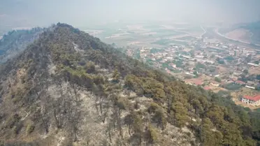 Geyve'deki Orman Yangını Kontrol Altında