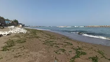 Sakarya ve Düzce'de Denize Giriş Yasaklandı
