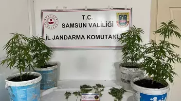 Samsun'da Uyuşturucu Operasyonu: 1 Gözaltı