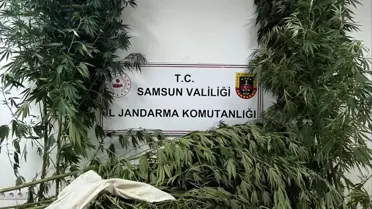 Samsun'da Uyuşturucu Operasyonu