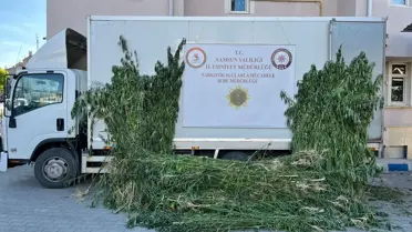 Vezirköprü'de 5 Bin Kök Kenevir Ele Geçirildi