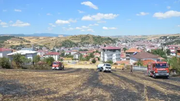Havza'da Anız Yangını Evi Sardı