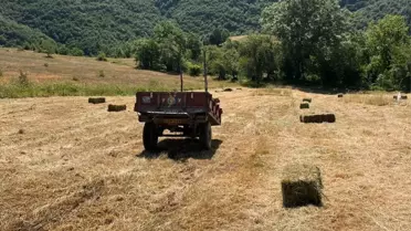 Bafra'da Traktör Devrildi, Sürücü Hastaneye Kaldırıldı