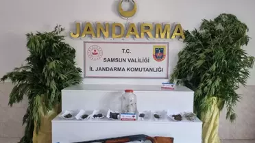 Bafra'da Uyuşturucu Operasyonu: 1 Gözaltı