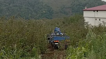 Fındık Bahçesine Yuvarlanan Kamyonet: 3 Yaralı