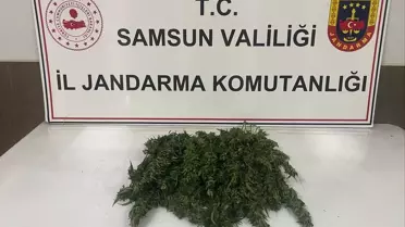 Samsun'da Uyuşturucu Operasyonu: 1 Gözaltı