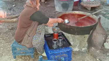 Havza'da Kadınlar Kuşburnu Marmeladı Hazırlıyor
