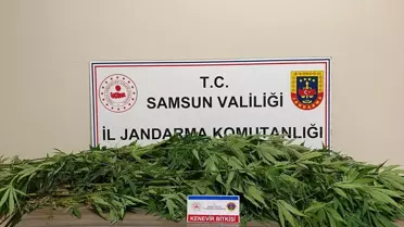 Kenevir Eken Şüpheli Gözaltında