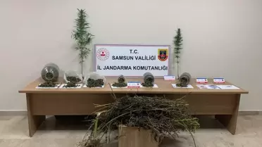 Samsun'da Uyuşturucu Operasyonu: 1 Gözaltı