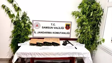 Ayvacık'ta Uyuşturucu Operasyonu