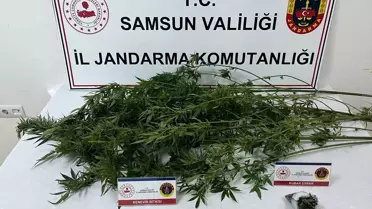 Samsun'da uyuşturucu operasyonu: 3 gözaltı