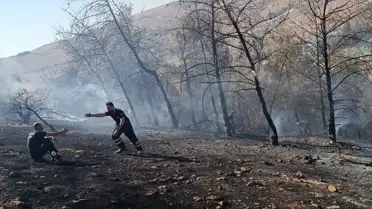 Şanlıurfa'da Orman Yangını Kontrol Altında