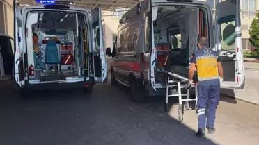 Siverek'te Hayvan Otlatma Kavgası: 6 Yaralı