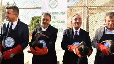 Kelaynaklar Doğaya Salındı