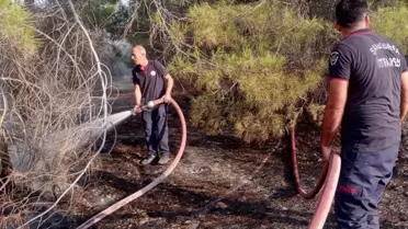 Şanlıurfa'da Yangın Kontrol Altına Alındı