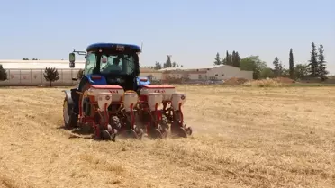 Şanlıurfa'da Direkt Anıza Ekim Uygulaması