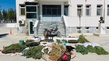 Birecik'te Uyuşturucu Operasyonu: 3 Gözaltı