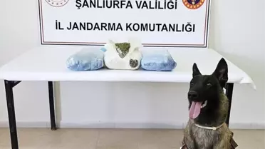 Şanlıurfa'da Uyuşturucu Operasyonu: 3 Gözaltı