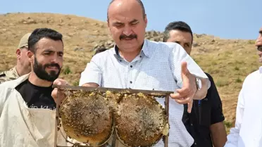 Sason'da Bal Hasadı Başladı