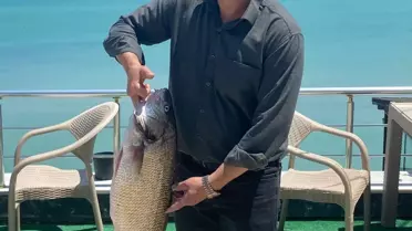 Sinop'ta 6,5 kg Beyaz Kötek Balığı Yakalandı
