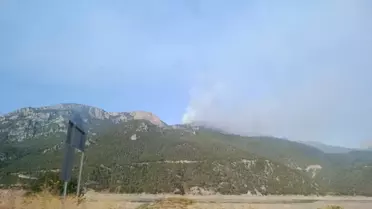 Sinop'ta orman yangını! Bir köy tahliye edildi