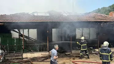 Ayancık'ta Kereste Fabrikasında Yangın